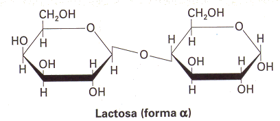 lactosa