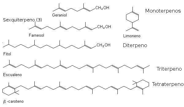 terpenos