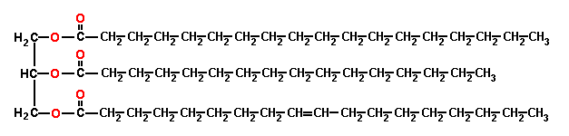 triglicerido