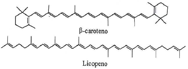 caroteno