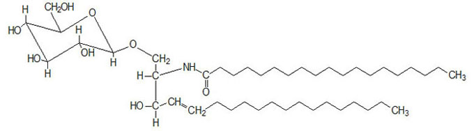 cerebrosido