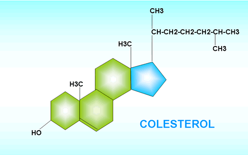 colesterol