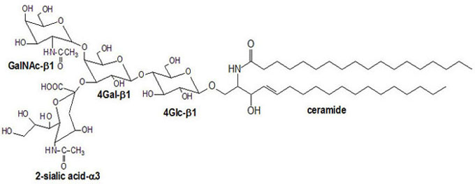 gangliosido