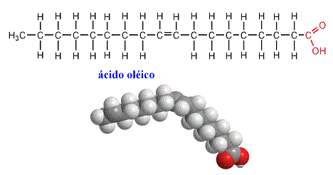 oleico