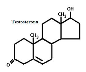 testosterona