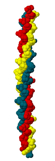 proteinafibrosa