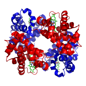 proteina globular