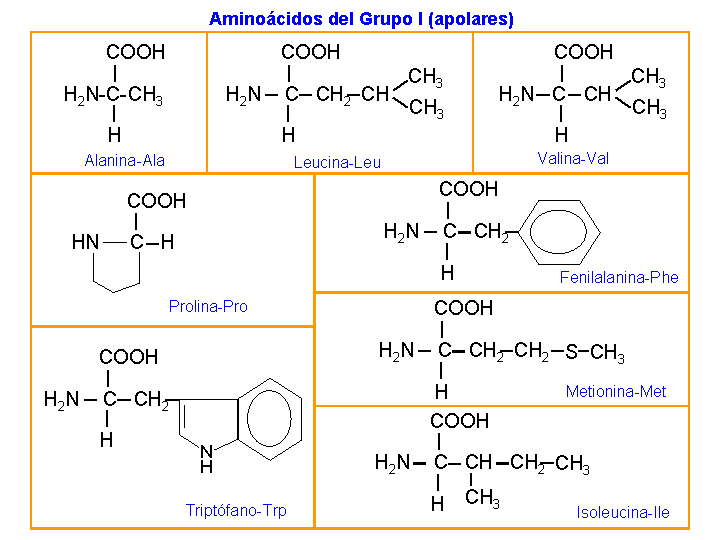 apolares