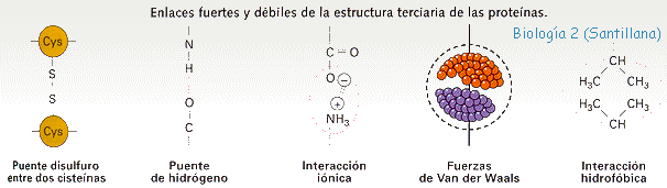 enlacesterciaria