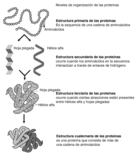 estructura