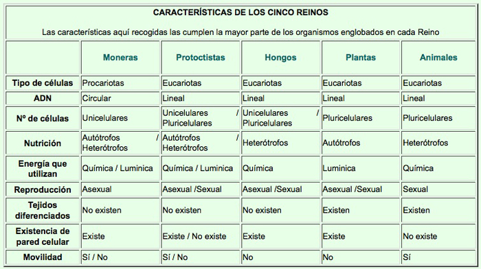 clasificación de los cinco reinos