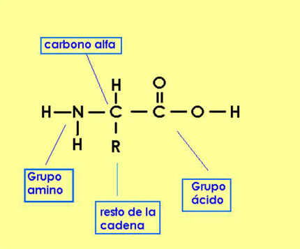 aa