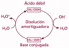 Sustancias amortiguadoras