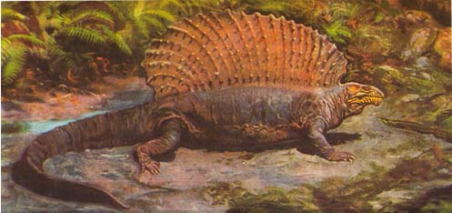 Edaphosaurus