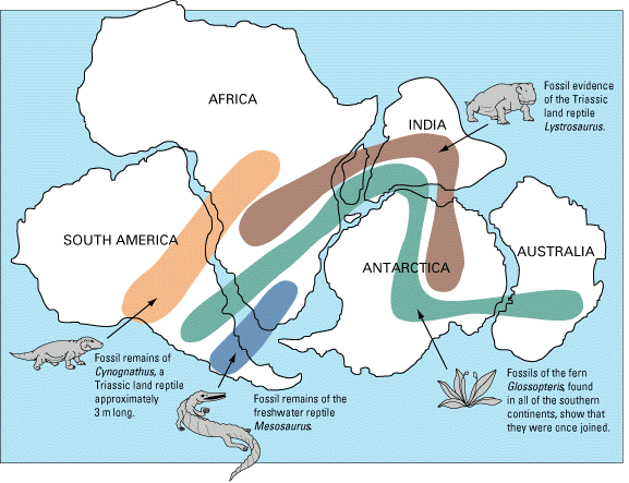 Pruebas biogeograficas de la deriva continental