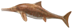 ichthyosaurus