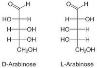 arabinosa