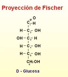 PROYECCIONES