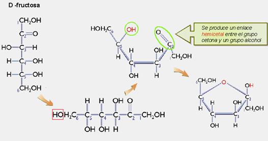 ciclacion