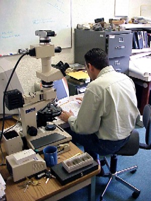 laboratorio