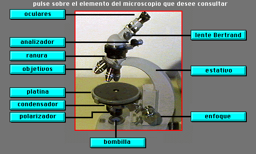 petrografico