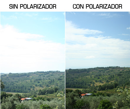 polarizacion