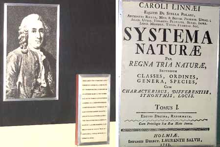 Sistema Naturae