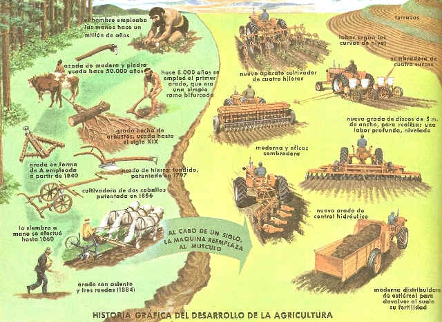 AGRICULTURA_historia