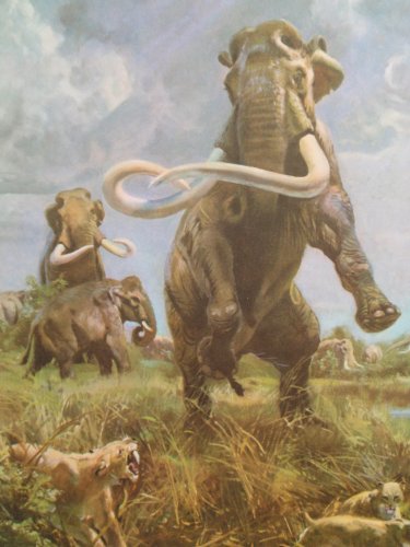 Mammuthus_columbi