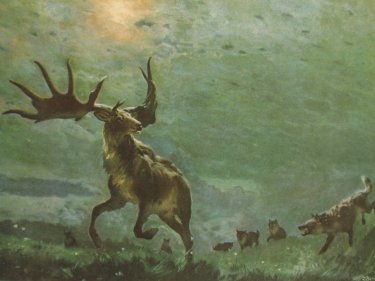 Megalocerus_giganteus