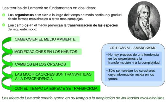 Lamarckismo