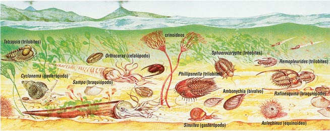 ambiente ordovicico