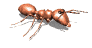 gif animado hormiga
