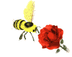 gif animado abeja