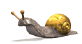 gif animado caracol